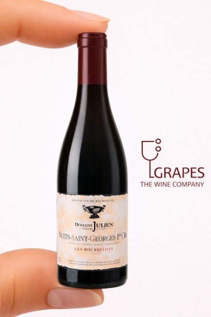 Domaine Julien Nuits St Georges Les Bousselots 750ML 2019