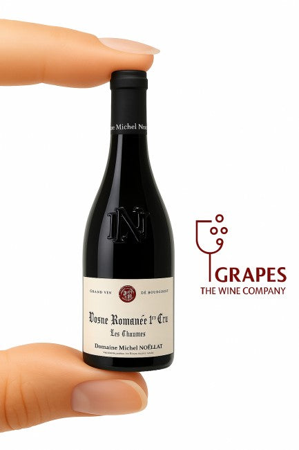 Michel Noellat Vosne Romanee Les Chaumes 2023 750ML