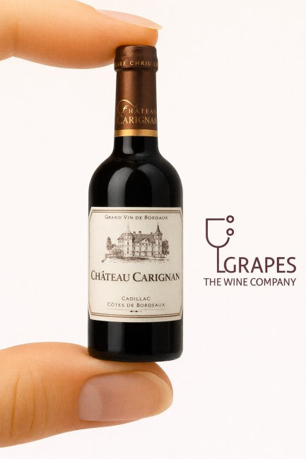 Chateau Carignan Cotes De Bordeaux Cadillac 750ML 2019