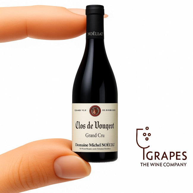 Michel Noellat Clos Vougeot 2018 3L