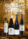Vin Picks - October 2025 Selection