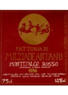 Milziade Antano - Rosso di Montefalco Umbria 2021 (Pre-arrival)