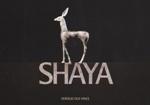 Shaya - Verdejo Old Vines 2023